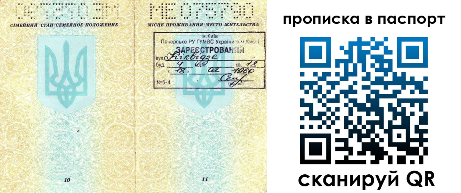 прописка паспорт в Тамбовской области